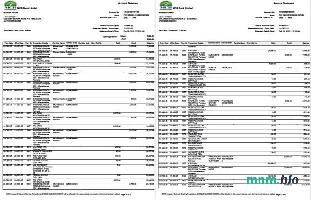 Pakistan js bank e-oświadczenie 3 strony